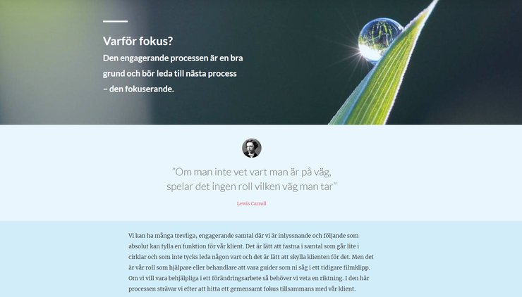 Articulate Rise 360